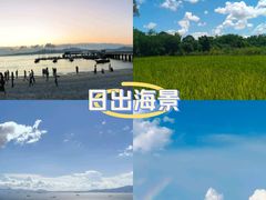 -巽寮湾