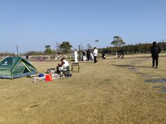 -春花秋色城市公园