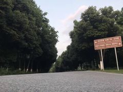 -铁山坪森林公园