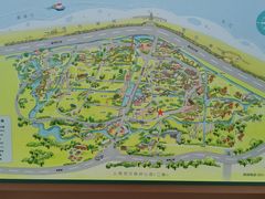 -上海滨江森林公园