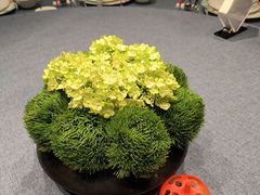 -洛阳宴·洛阳菜(南昌路店)