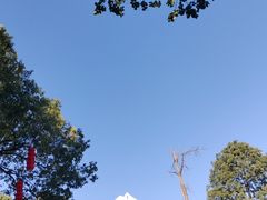 -南湖梦幻岛
