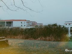 -扬州大学(扬子津校区)
