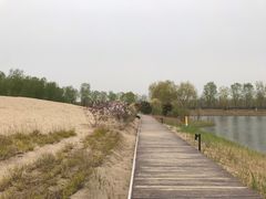 -东郊湿地公园