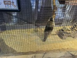 -酷嗒动物文化乐园(cutezoo西溪乐天城店)