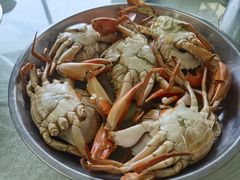 -辉记虾塘海鲜农庄