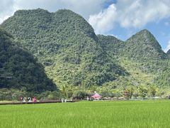 -靖西鹅泉风景区