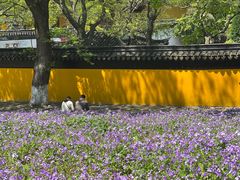 -虞山风景区