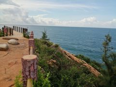 -广东惠东海龟国家级自然保护区