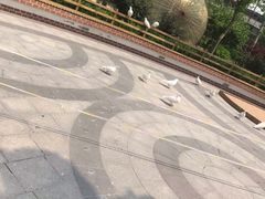 景点-南宫五洲植物乐园