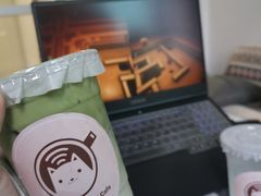 -楼上猫咖(罗湖店)