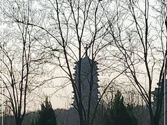 -永定河休闲森林公园