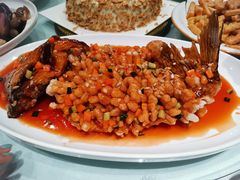 松子鲤鱼-大地春饼店(黄河路店)