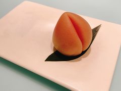 -青山研究所Aoyama Lab