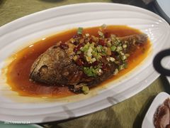 干烧大黄鱼-北京全聚德(西翠路店)