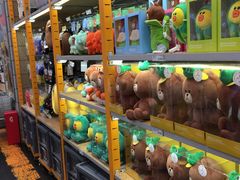 -line friends(明洞旗舰店)