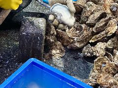 -花苑美食横琴生蚝火锅(拱北粤华路店)