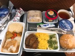 -新加坡航空公司(ION)