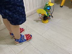 -乐博乐博少儿编程·机器人编程·信息学竞赛(杨浦五角场校区)