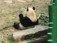 -沈阳森林动物园