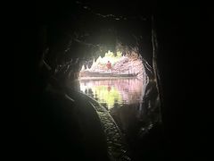 -怀托摩萤火虫洞