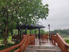 -广东花都湖国家湿地公园