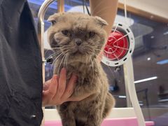 -FAELING PETS美天灵宠物(富力广场店)