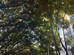 -筒骨麻辣烫(永同昌公寓胜明花园店)