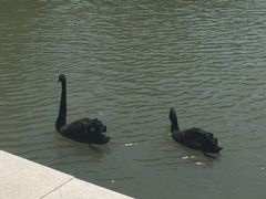 -新疆天山野生动物园