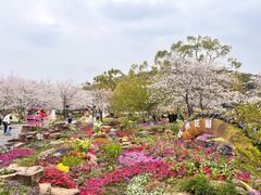-苏州上方山国家森林公园