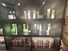 -雪灵魔法世界SHELLY’S TAROT(大良桂畔里店)