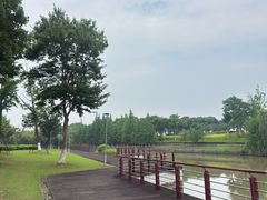 -江滩湿地公园