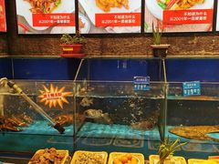 水产区-双合园·海鲜水饺青岛菜(大尧三路店)