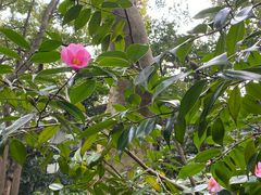 -杭州半山国家森林公园