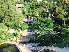-厦门园林植物园-植物园滴水山房