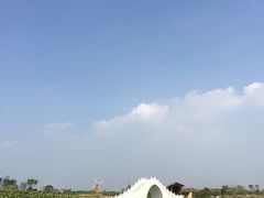 -金卉庄园