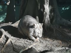 -费瑟代尔野生动物园