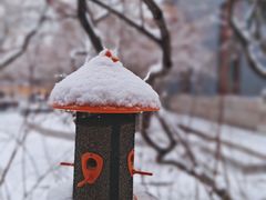 -哈尔滨极乐寺