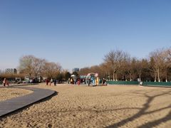 -大兴滨河森林公园