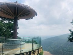 -铁山坪森林公园