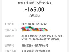 -gaga(北京新中关购物中心店)