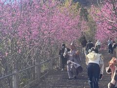 -天台山赤城山景区