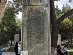 -赵州桥景区