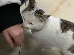 -小赵小吃(城西总店)