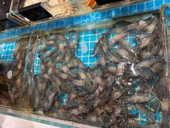 -加餐海鲜自助(集美银泰百货店)
