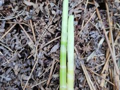 -北仑森林植物园