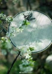 -盘子女人坊古装写真摄影