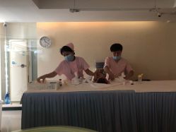 -月来悦好国际月子会所