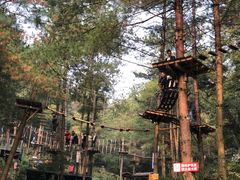 -梦幻奥陶纪景区