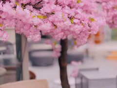 -城市露台景观餐厅(淮海路店)